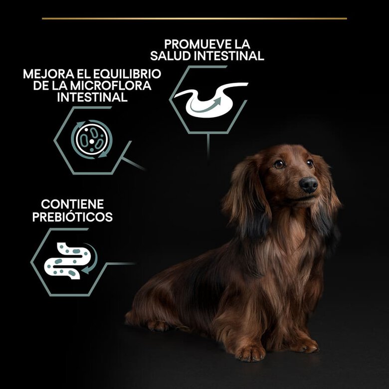Pro Plan Adult Small y Mini Digestión Cordero pienso para perros, , large image number null